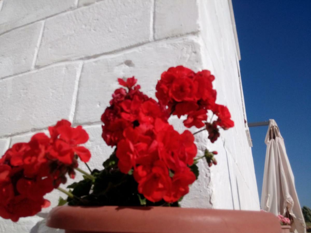 La Casa Bianca Hotel Monopoli Bagian luar foto